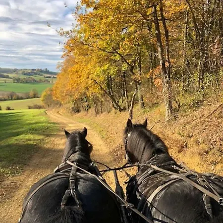 Prázdninový dům Relax-en-gers Saint-Justin (Midi-Pyrenees)